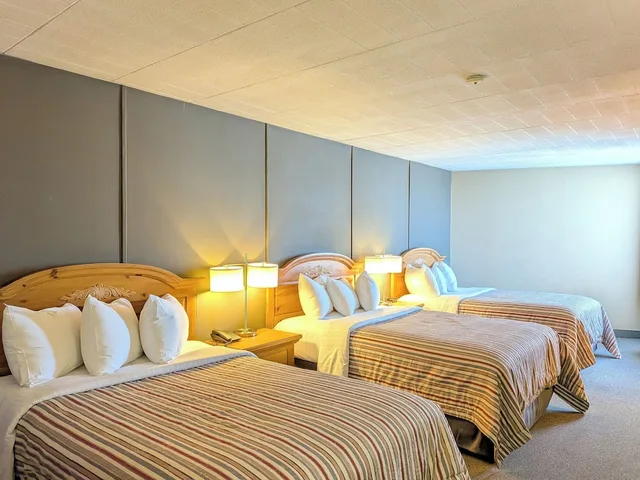 غرفة قياسية ثلاثية بسريرين مزدوجين بإطلالة على المدينة، Confederation Place Hotel 7/10