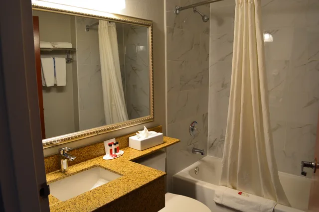Standard, Queen Bed, Accessible, Microtel Inn & Suites by Wyndham BWI Airport Baltimore 7/8