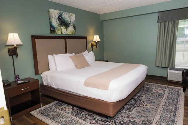 غرفة قياسية بسرير كينج بغرفة نوم واحدة، D. Hotel and Suites 4/9