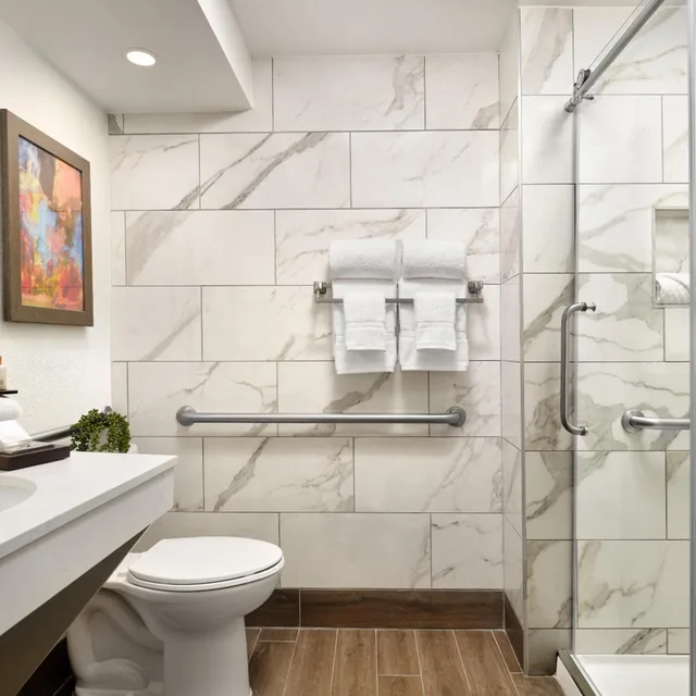 جناح بسرير كينج، Buena Vista Suites 4/5