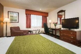 جناح بسريرين كوين مع أريكة، Best Western Amador Inn 3/5