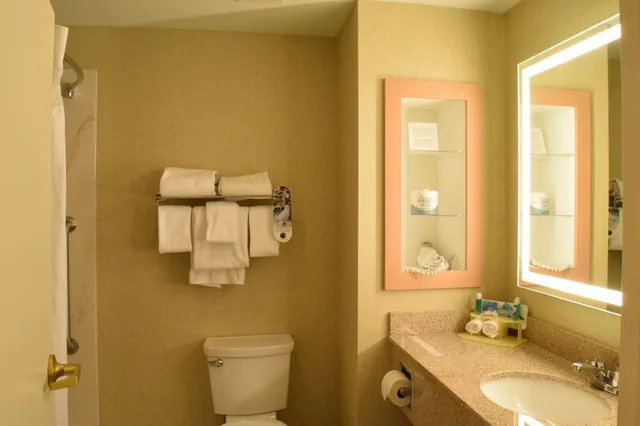 جناح بسرير كينج بحوض جاكوزي، Holiday Inn Express Hotel Amp Suites Watertown Thousand Island 5/6