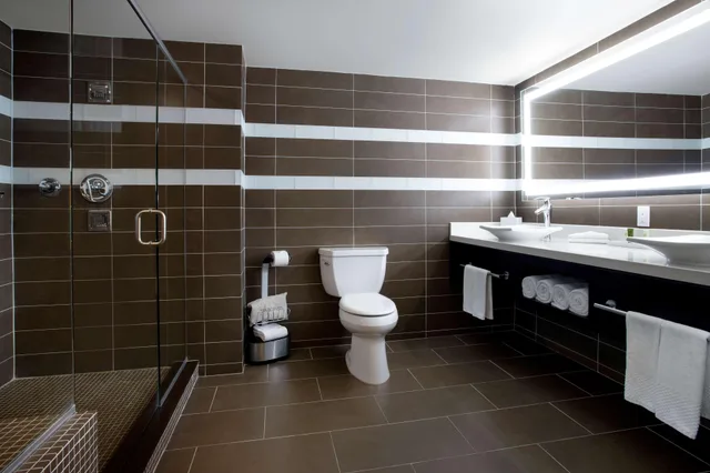 1 Bedroom, Chairman, Suite, King Bed، Hilton Tampa Downtown 3/3