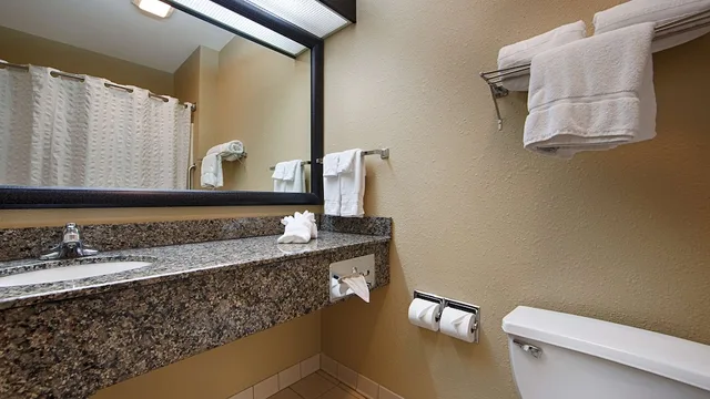 غرفة قياسية مفردة بسرير كينج، Best Western Macomb Inn 1/1