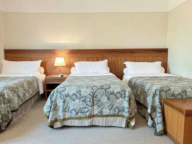 Master, Twin Beds, 3 Beds، Royal Palm Plaza Resort Campinas 2/4