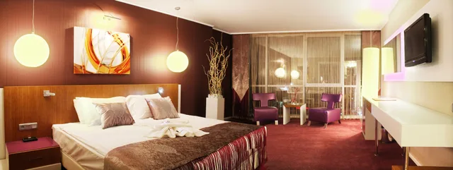غرفة سوبيريور بسرير مزدوج، City Hotel Ankara 4/10