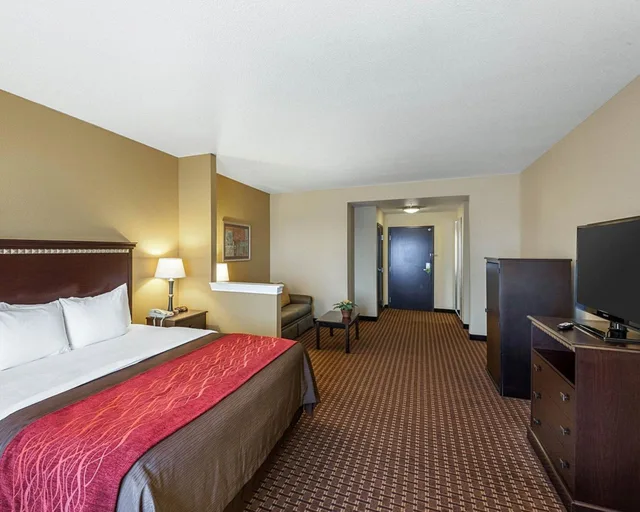 جناح بسرير كينج مع أريكة لذوي الإعاقة، Comfort Inn and Suites Regional Medical Center 1/2