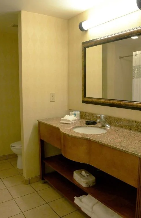 جناح بسرير كينج بغرفة نوم واحدة مع أريكة، Hampton Inn And Suites Birmingham Hoover Galleria 1/2