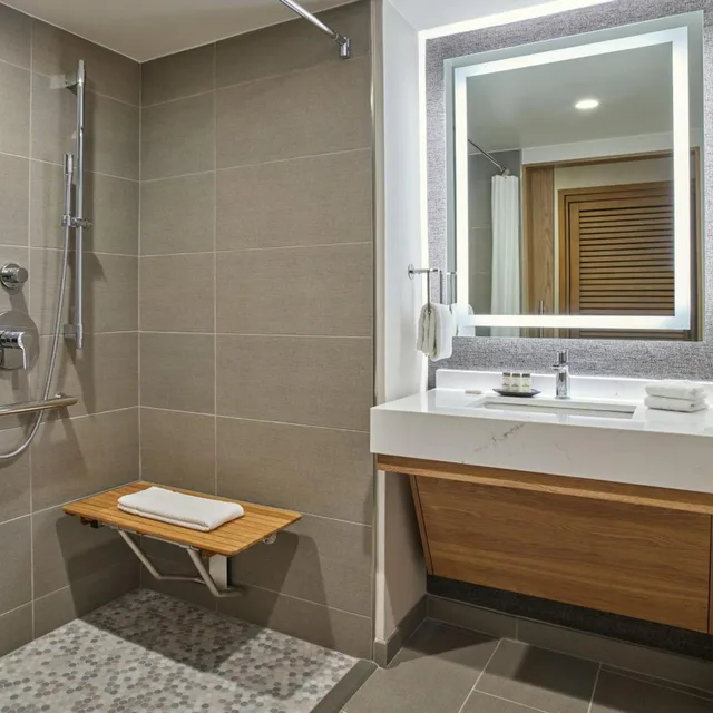 غرفة تقليدية بسرير كينج لذوي الإعاقة، Sheraton Denver Downtown Hotel 4/5