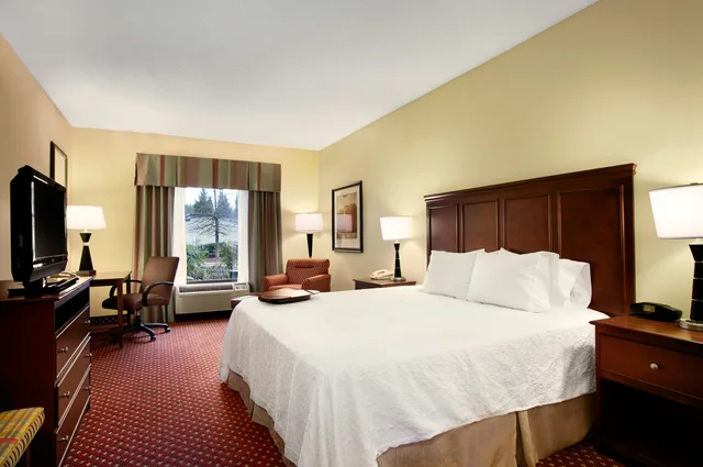 غرفة بسرير كينج لذوي الإعاقة، Hampton Inn Atlanta-Stockbridge 3/5