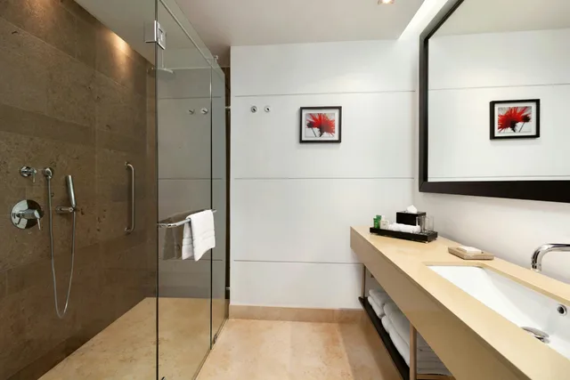 Suite, King Bed, Terrace, Hilton Bogota 4/6