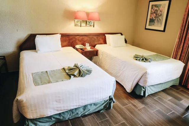 جناح جونيور بسريرين مزدوجين، Hotel La Joya 1/10