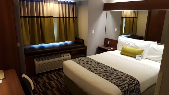 جناح استوديو ديلوكس بسرير كوين، Microtel Inn Suites Bellevue 1/2