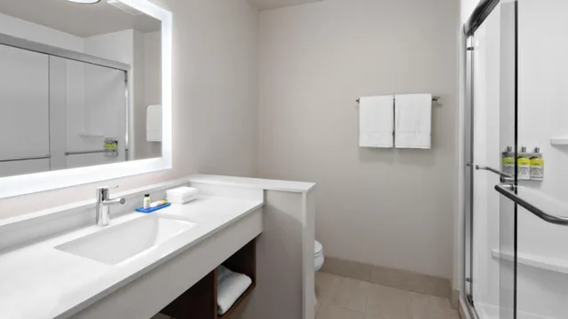 جناح بسرير مزدوج، Holiday Inn Express & Suites Nashville Metrocenter Downtown 7/10