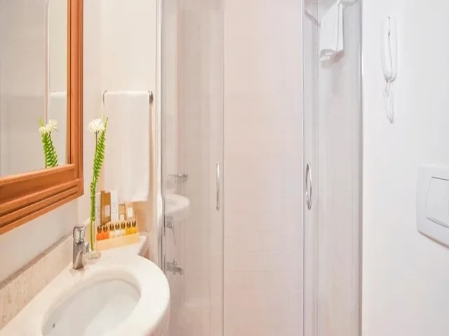 غرفة قياسية بسرير مزدوج وسرير فردي، Akka Claros Hotel 4/4