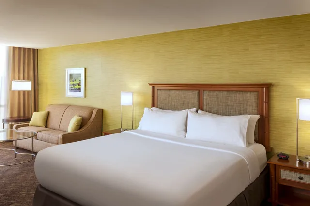 غرفة قياسية بسرير كينج، Holiday Inn Austin Town Lake Hotel 1/7