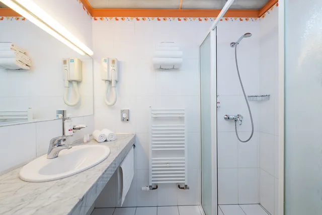 Standard, Double Bed, Alameda Wing, Ensana Esplanade HSH 3/3