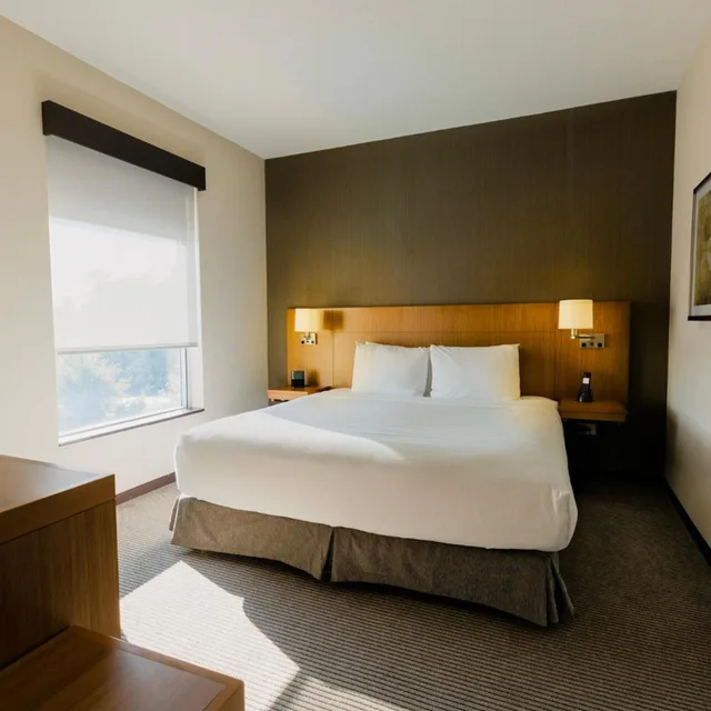 جناح بسرير كينج لذوي الإعاقة، HYATT PLACE AUGUSTA 1/1