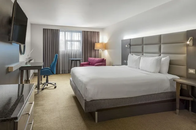 Standard, Single Bed, Crowne Plaza San Jose La Sabana by IHG 2/6