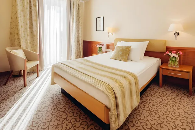 Comfort Queen Double for Sole Use، Grand Hotel Union Eurostars (ex Grand Hotel Union) 1/1