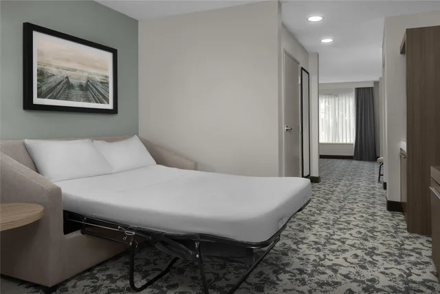 1 Bedroom, Mini, Suite، Hilton Garden Inn Hilton Head 2/3