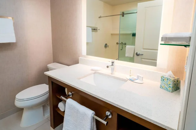 جناح بسرير كينج بغرفة نوم واحدة مع أريكة، Residence Inn Upper Marlboro Joint Base Andrews 3/7