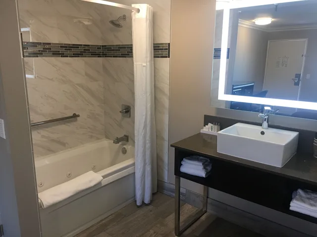 غرفة ديلوكس بسرير كينج بحوض جاكوزي للمدخنين، Hotel Seville 5/7