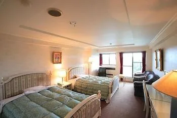 غرفة سوبيريور بسريرين منفصلين للمدخنين، Hotel Green Hill Otaki 1/1