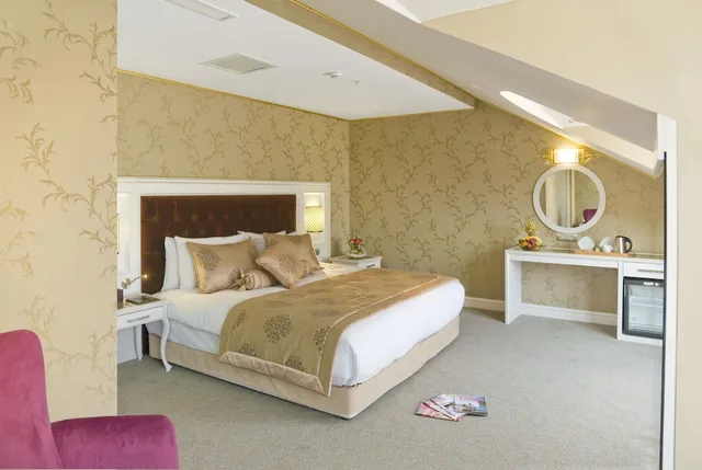 جناح تنفيذي بسرير كينج، Hurry Inn Merter Istanbul 1/6