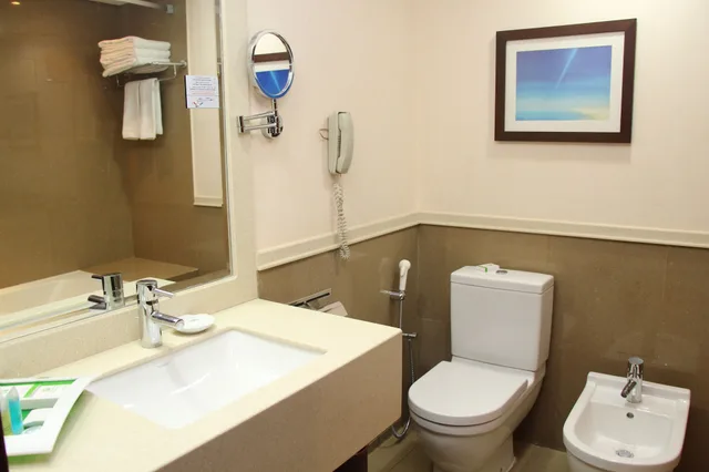 غرفة بريميوم بسرير فردي، هوليداي إن الرياض الازدهار(Holiday Inn Riyadh Izdihar) 8/8