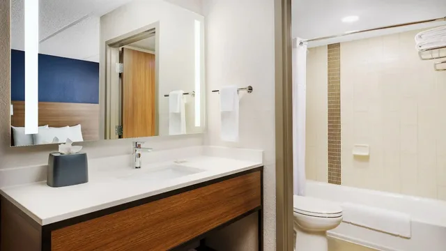 Run of House, Hyatt Place Orlando / I-Drive / Convention Center 2/2
