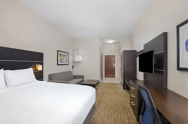 Suite, King Bed, Extra Floor Space, Sofa، Holiday Inn Express And Suites Locust Grove 1/7
