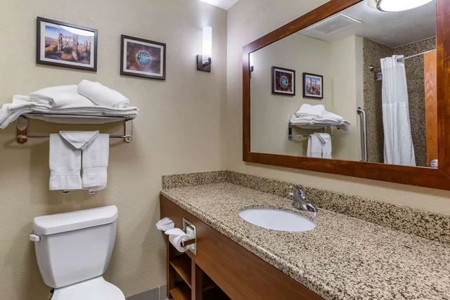 جناح بسرير كينج، Comfort Suites Hobbs 2/2