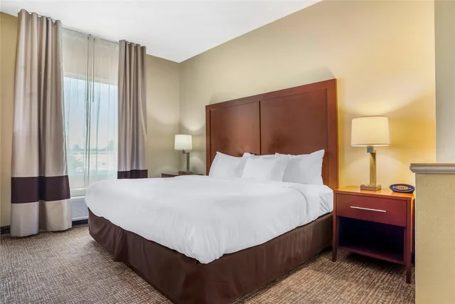 جناح بسرير كينج، Comfort Suites Montgomery East Monticello Dr 1/3