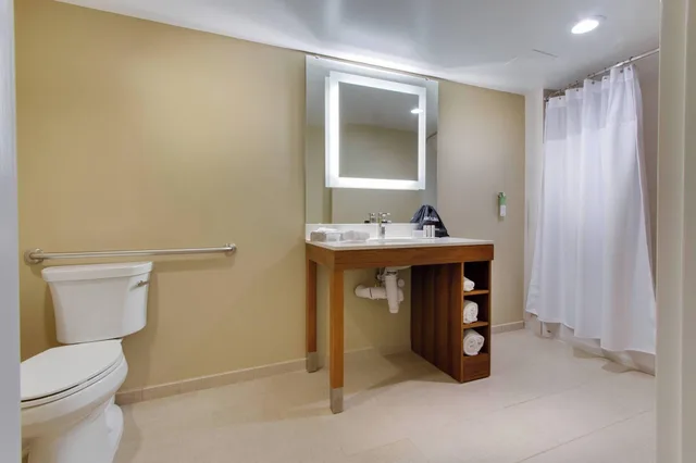 استوديو بسرير كينج، SpringHill Suites Orlando Lake Buena Vista South 3/3