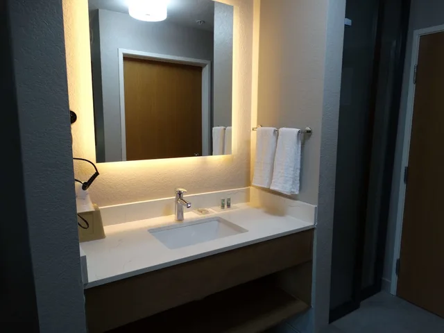غرفة قياسية بسرير كينج، Best Western Dewitt 7/8