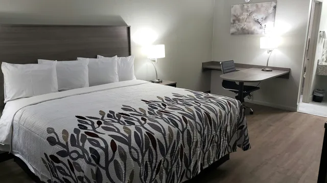غرفة سوبيريور بسرير كينج، Red Roof Inn Cullman 3/7