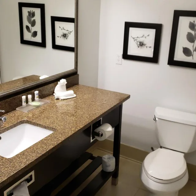 استوديو بسرير كينج مع أريكة، Country Inn & Suites by Radisson, Bradenton-Lakewood Ranch, FL 8/9