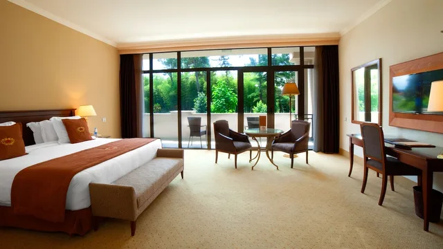 غرفة ديلوكس بسرير كينج بإطلالة على الحديقة، Georgia Palace Hotel & Spa Kobuleti Batumi 1/3