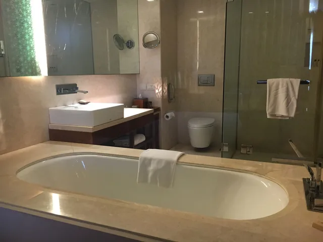 غرفة ديلوكس بسريرين منفصلين، Taj Surajkund Resort & Spa, Delhi NCR 9/10