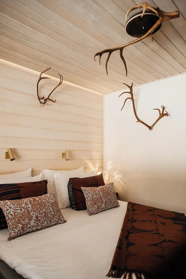 Standard, Twin Beds, Sofa, Aito Igloo & Spa Resort 1/3