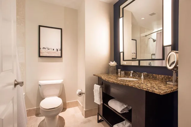 Studio, City View, Magnolia Hotel Houston 4/4