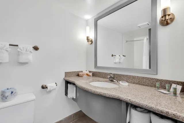 غرفة قياسية بسرير كينج بإطلالة، Best Western Orlando Gateway Hotel 8/9