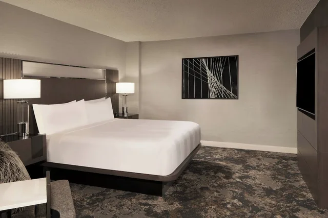 غرفة ركنية بسرير كينج بشرفة بإطلالة، Dallas Fort Worth Airport Marriott 2/6