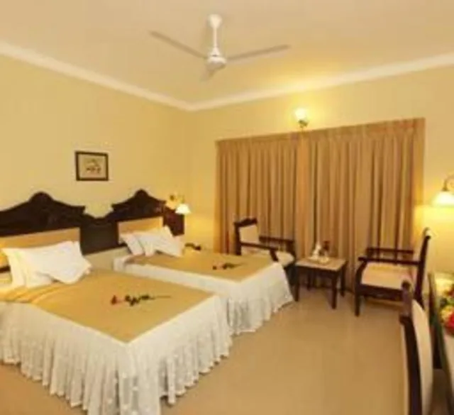 غرفة ديلوكس بسرير مزدوج، Hotel Airlink Castle 4/10