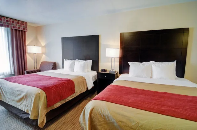 غرفة قياسية بسرير كينج، Comfort Inn & Suites Amarillo West Near Medical Center 4/9