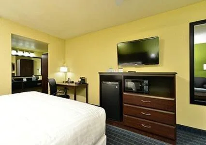 Standard, King Bed, Pet Friendly, Quality Inn Needles, CA 2/5