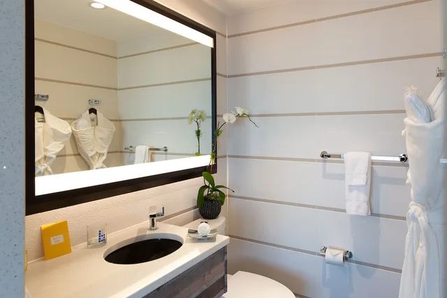 Signature, Collection, Deluxe, Double Bed, Broadlyn View, Terrace، Le Bleu 6/10