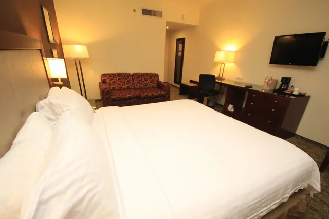 غرفة قياسية بسرير كينج، Holiday Inn Leon 4/10