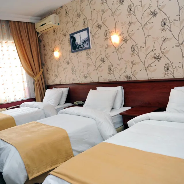 غرفة قياسية ثلاثية، Saray Hotel 2/10